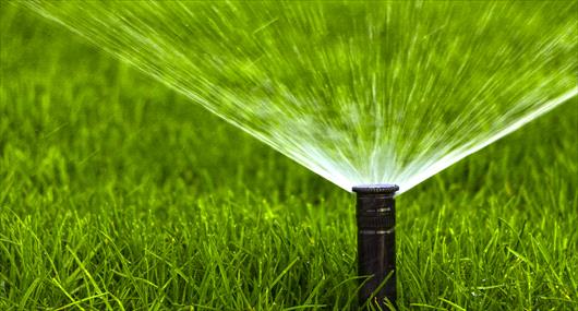 watering your lawn